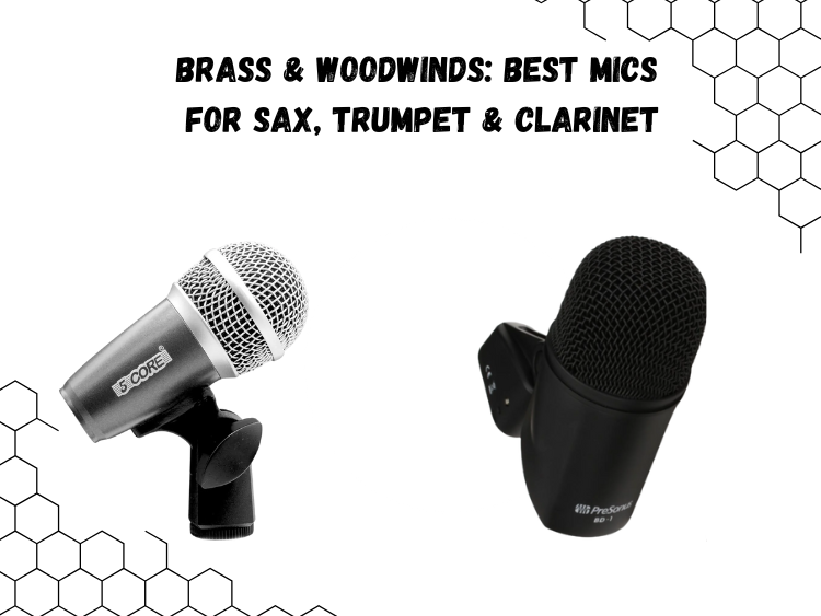 Brass & Woodwinds Best Mics for Sax, Trumpet & Clarinet