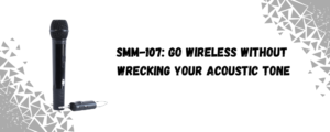 Budget-Friendly Wireless Option
