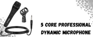 5 core professional dynamic mic
